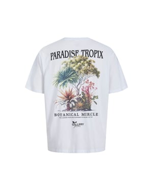 Jack & Jones Jorbotaniq tee ss crew neck tg ln
