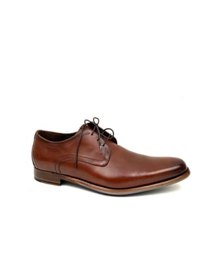 Floris van Bommel De draver 03.03