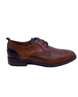 Van Lier 2518642