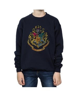 Harry Potter Sweatshirt i bomull med Hogwarts-hus för pojkar (Marinblått)