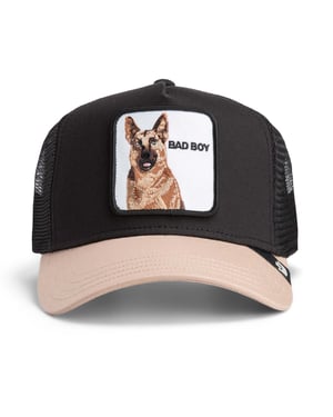 Goorin Bros. Pet