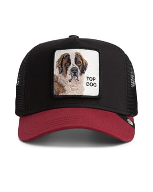 Goorin Bros. Pet