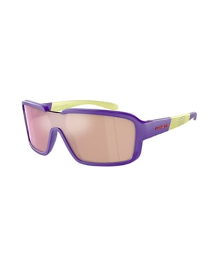 Arnette Multicolor Resin Sunglasses