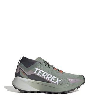 Women's adidas Terrex Agravic GorE-Tex Trail Running Shoes in Silver Green