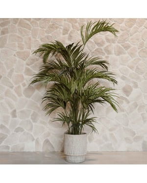 Indore Home Kentia palm kunstplant van 280 cm voor een elegante en ruimtelijke uitstraling