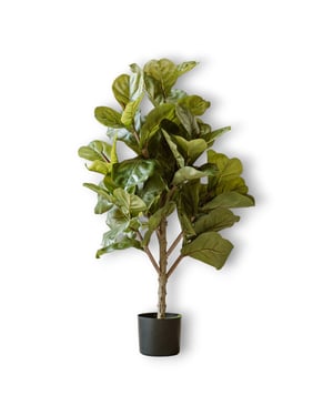 Indore Home Indore silva kunstplant vijg 90cm