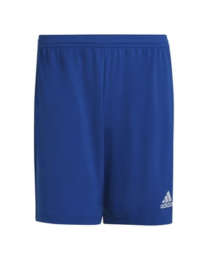Men's adidas Entrada 22 Shorts in Royal