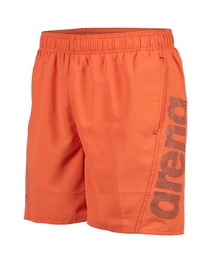 Men's Arena Fundamentals Logo R Beach Boxer in Nespola Asphalt