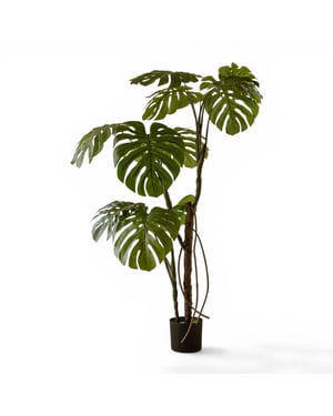 Indore Home Monstera kunstplant van 160 cm als stijlvolle aanvulling in middelgrote