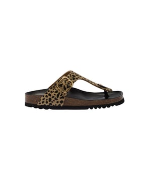 Scholl Anais slippers f00629