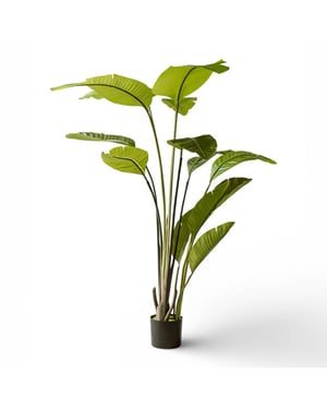 Indore Home Luxe strelitzia kunstplant van 150 cm voor een verfijnde tropische uitstraling