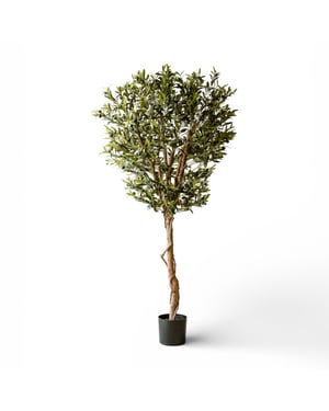 Indore Home Olijfboom kunstplant van 190 cm voor een rustige en mediterrane woonstijl