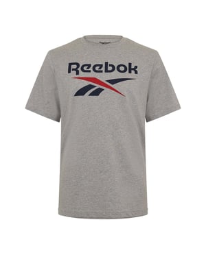 Men's Reebok Identity Big Sn99 in Mgreyh/Vecnav