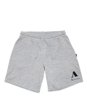 Men's Aquascutum Shorts in Grey