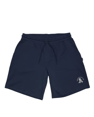 Men's Aquascutum Shorts in   Navy
