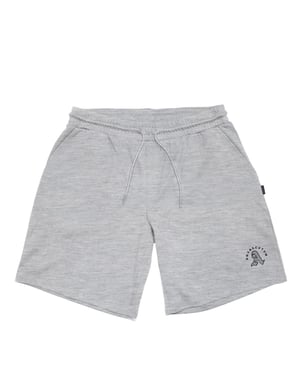 Men's Aquascutum Shorts in Grey