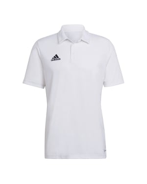 Men's adidas Ent22 Polo Shirt in White