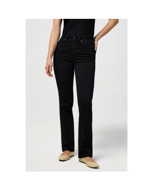 Wrangler Straight nebula