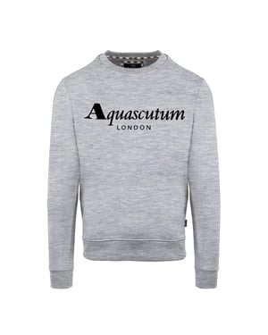 Men's Aquascutum Roundnk S in Grey