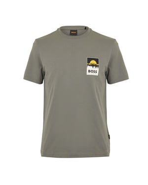 Men's Boss Te Plain 10276582 01 Polo Shirt in Open Grey