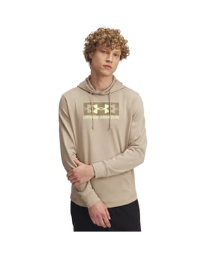 Men's Under Armour Rv Trry Logo Hoody in Brown