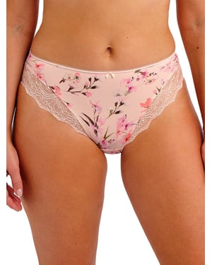 Lucia Brief