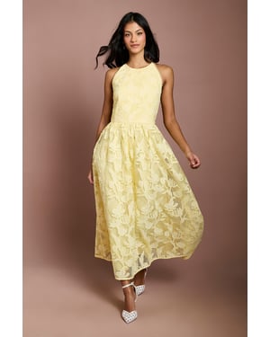 Petite Halterneck Lace Midi Dress