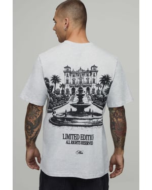 Ash Grey Relaxed Large Scale Landscape Print T-Shirt