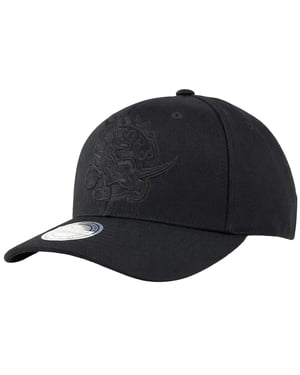 Mitchell & Ness NBA Toronto Raptors 110 Logo Black Cap