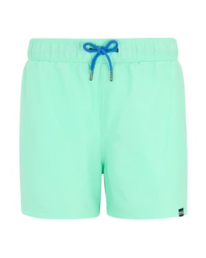 Regatta Mens Mawson II Swim Shorts (Ice Green/Sonic Blue)