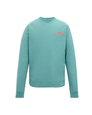 Regatta Mens Nithsdale Back Print Sweatshirt (Arctic Green)