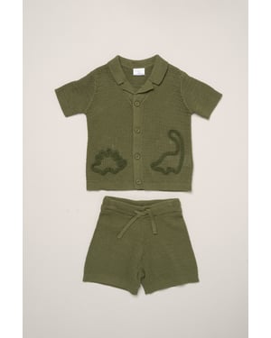 Dinosaur Embroidered True Knit Stripe Shirt and Shorts