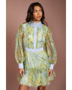 Collared Printed Mesh Mini Dress