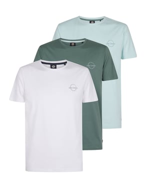 Petrol Industries - 3-pack jersey T-shirts Salsa Heren - Divers