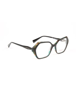 Ana Hickmann Optical Frame HI6316 H01 53