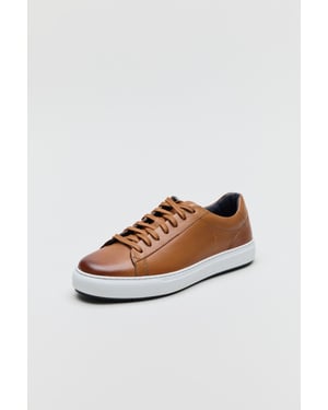 Ben Sherman Ace Cupsole Leren Heren Tan Sneakers