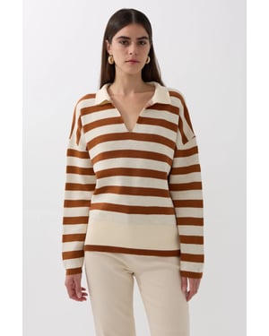 Striped Polo Collar Knit Sweater