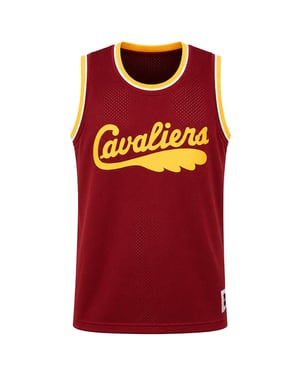 Mitchell & Ness NBA Cleveland Cavaliers Mesh Mens Red Vest