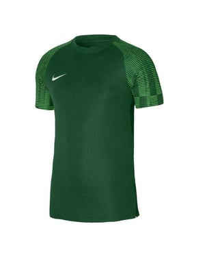 Nike Heren Academy Dri-FIT Jersey (Groen)