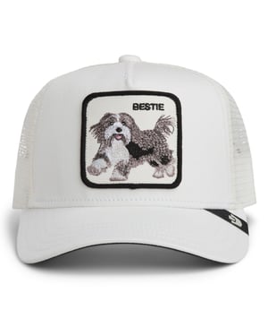 Goorin Bros. Pet