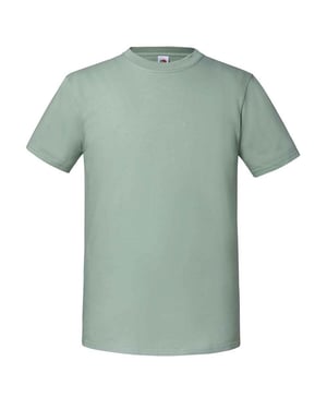 Fruit of the Loom Heren Iconic 195 Premium Ringspun Katoen T-Shirt (Salie)