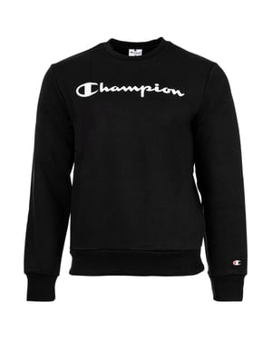 Champion Sweater