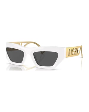 Versace VE4432U 54 401 87 Sunglasses