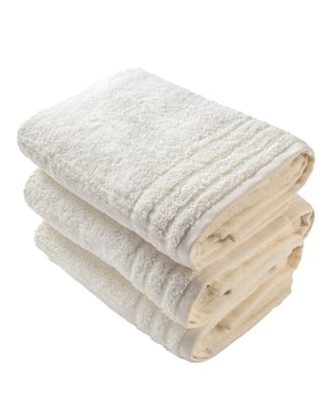 ARTG Biologische Handdoek (Wit)