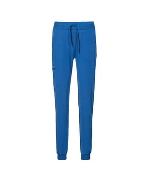 Exner Unisex Vuxen Stretch Enfärgade Byxor (Kungsblå)