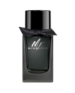 Burberry Mr. Burberry 100ml EDP Spray
