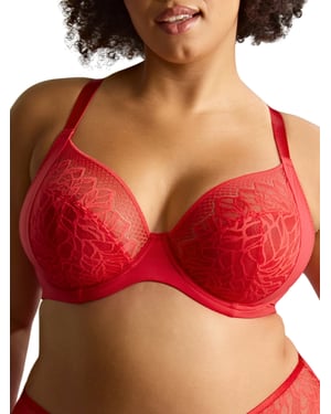 Sophia Plunge Bra