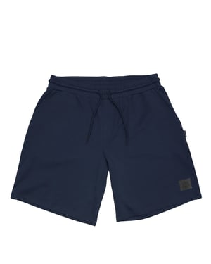 Men's Aquascutum Shorts in Navy