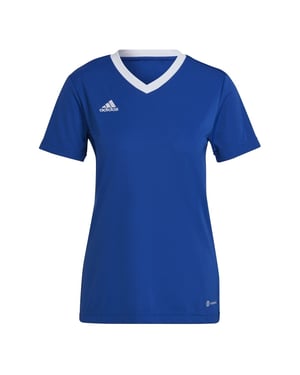 Women's adidas Ent22 Jersey W T-Shirt in Royal Blue