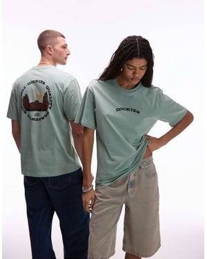 Dickies outdoor graphic back print t-shirt in light green